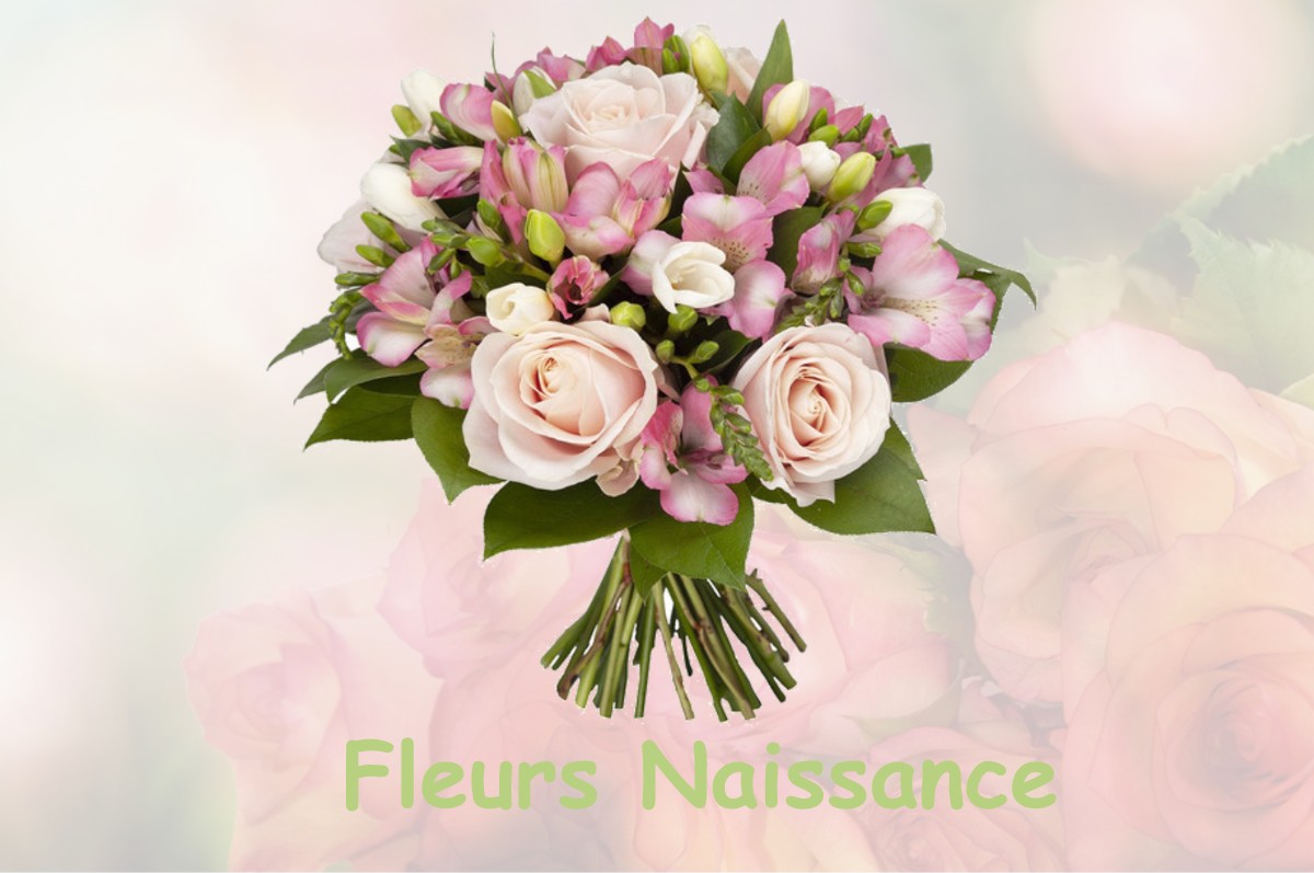 fleurs naissance MONTHOLIER