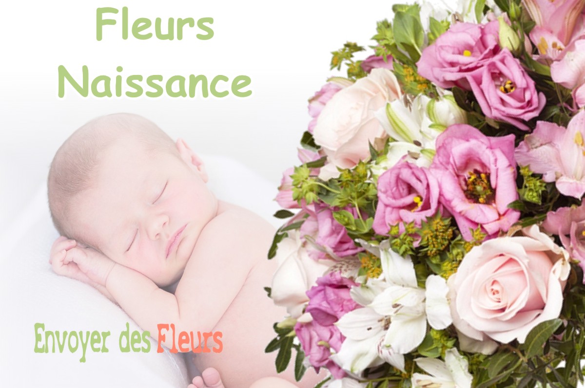 lIVRAISON FLEURS NAISSANCE à MONTHOLIER